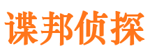 巍山市私家侦探